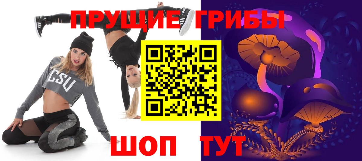 Псилоцибиновые грибы мицелий Абакан